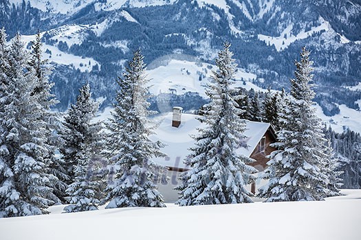 Mountain chalet in winter