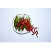 A composition of red and green chili peppers on a white plate isolated on a white background. Top view.