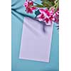 White copy space decorated with delicate pink flowers with reflection of shadows on a blue paper background. Postcards of the mother's day