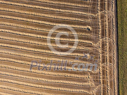 Panoramic from flying drones to an agricultural field after harvesting wheat. Strong strips of land after harvest, natural background. Top view Panoramic from flying drones to an agricultural field after harvesting wheat. Strong strips of land after harvest, natural background. Top view
