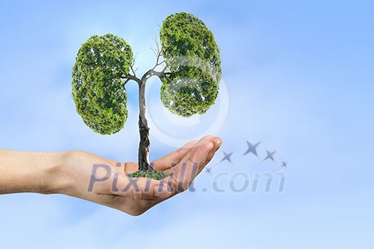 Close up of hand holding green tree concept