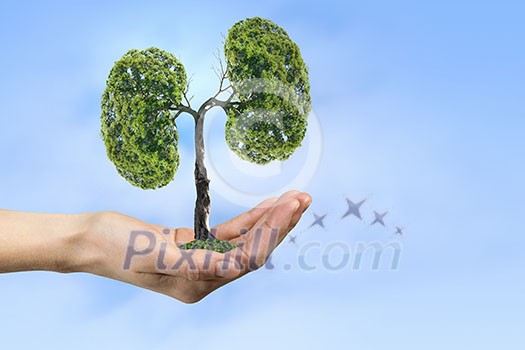 Close up of hand holding green tree concept Close up of hand holding green tree concept