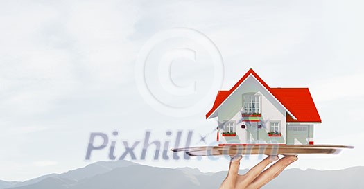 Hand of waiter offering house model on tray Hand of waiter offering house model on tray
