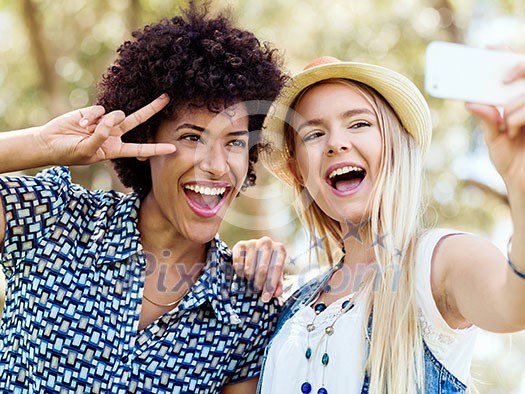 Two women friends in summer park making selfie