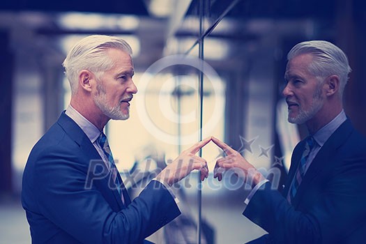 portrait of senior business man with grey beard and hair alone i modern office indoors