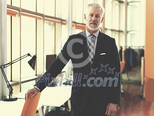 portrait of senior business man with grey beard and hair alone i modern office indoors
