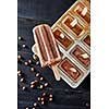 Homemade popsicles with chocolate on ice cube container with coffee beans on dark wooden background, flat lay. Homemade prepare concept