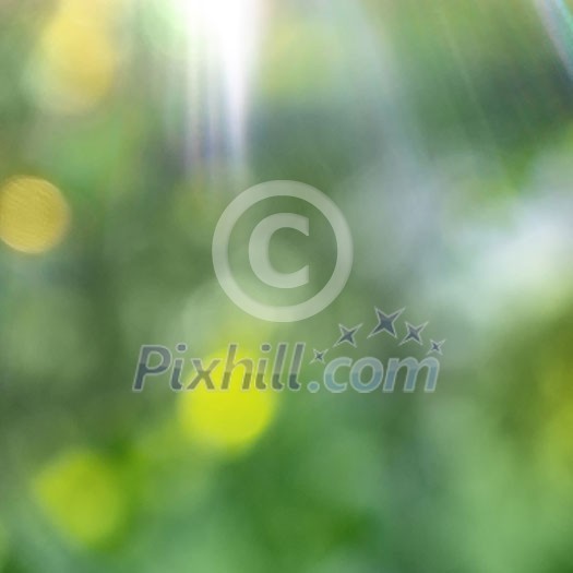 Bright sunlight on a green blurred background bokeh. Natural summer background. Bright sunlight on a green blurred background bokeh. Natural summer background.