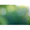 Circles bokeh on a blurred green background. Abstract beautiful layout for your ideas