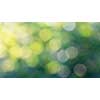 Bokeh background. Blurred yellow green abstract layout with white bokeh circles