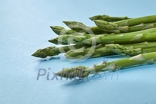 Organic green asparagus in a bunch ready to cook healthy vegetarian food on blue background.