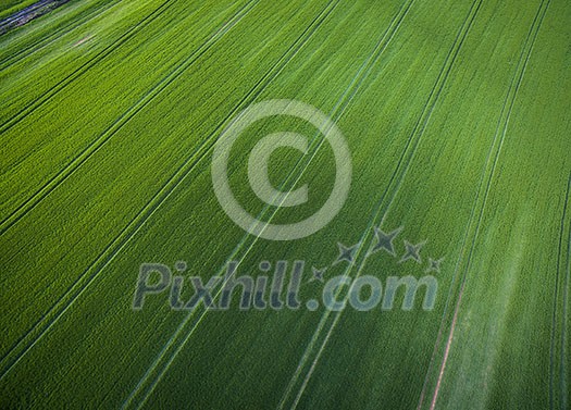 Farmland from above - aerial image of a lush green filed