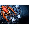 Freshly boiled crawfish on a dark table with ice. Top view.