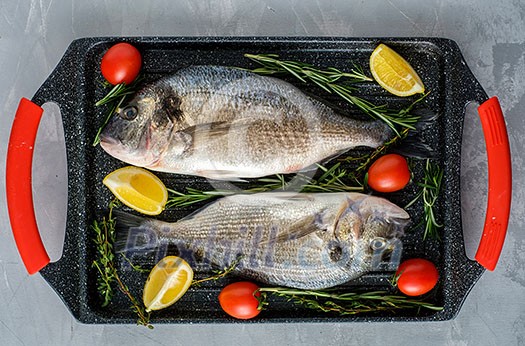 Fresh Raw Dorado with lemon, thyme, cherry and rosemary Fresh Raw Dorado with lemon, thyme, cherry and rosemary