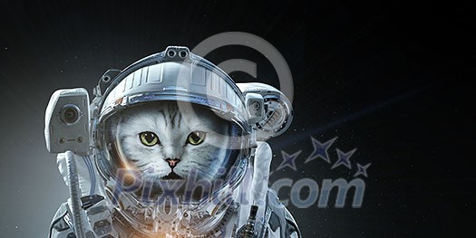 Astronaut cat wearing space suit. Elements of this image are furnished by NASA