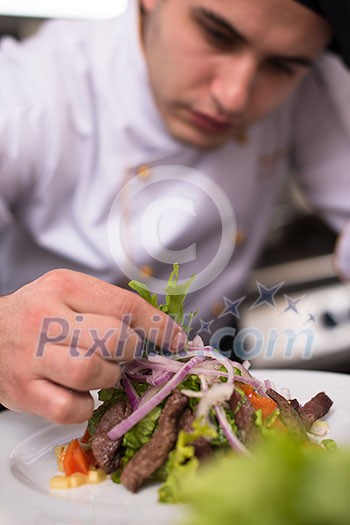 cook chef decorating garnishing prepared meal dish on the plate in restaurant commercial kitchen