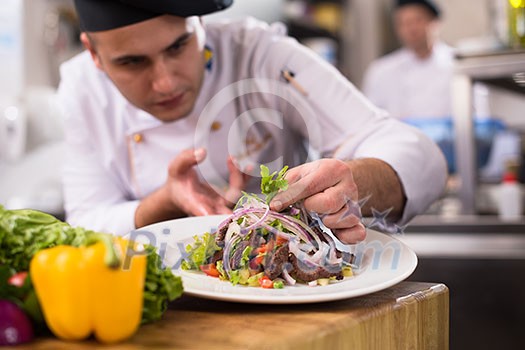 cook chef decorating garnishing prepared meal dish on the plate in restaurant commercial kitchen