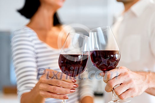 Portrait of a couple having a glass of red wine at home