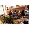 herbalist gardender  small business owner picking gathering fresh herbs for alternative medicine tea and poutting on balance