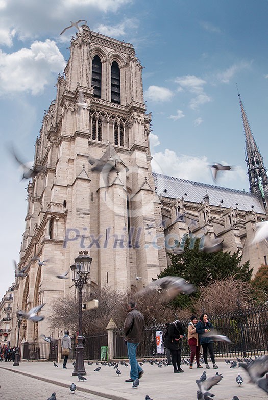 Paris, France - August 04, 2006: Street with tourist attraction Notre Dame cathedral on a summer day against a blue sky with tourists and pigeons Paris, France - August 04, 2006: Street with tourist attraction Notre Dame cathedral on a summer day against a blue sky with tourists and pigeons