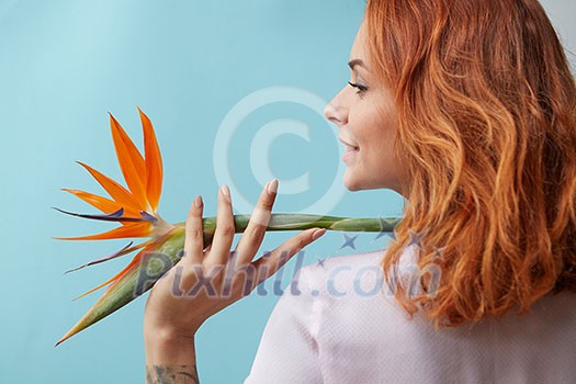 Redhead happy girl holding on her shoulder an orange flower strelitzia around a blue background with space for text. Creative layout for your ideas.