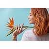Redhead happy girl holding on her shoulder an orange flower strelitzia around a blue background with space for text. Creative layout for your ideas.