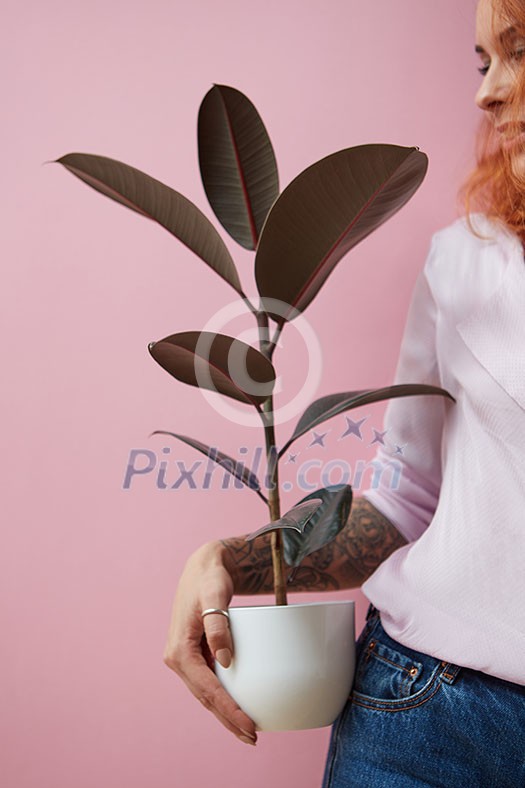 A smiling girl with a tattoo holds a pot with a ficus flower around a pink background with copy space. Mother's Day Gift Concept