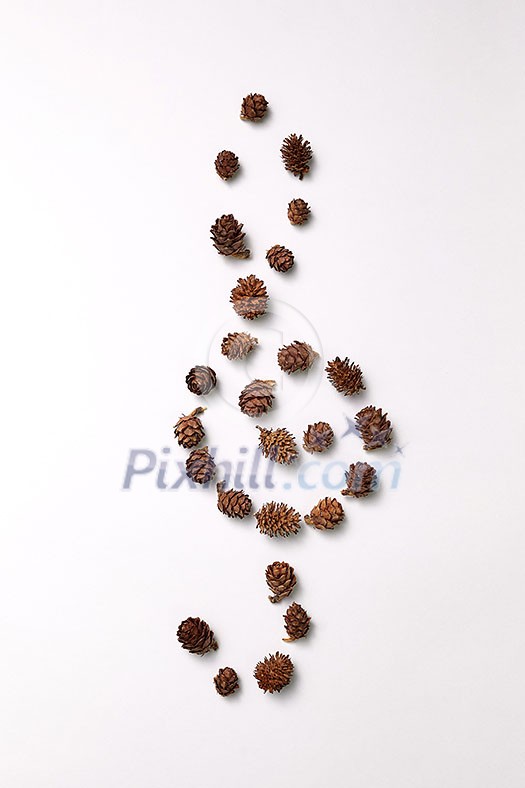 Pine cones in the shape of a treble clef presented on a gray background with copy space for text. Natural composition. Flat lay