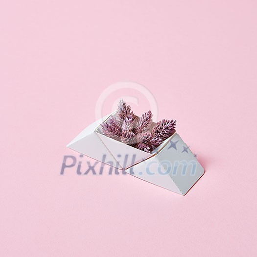 Pine cones in a cardboard triangular box on a pink background with copy space for text. Creative layout Pine cones in a cardboard triangular box on a pink background with copy space for text. Creative layout