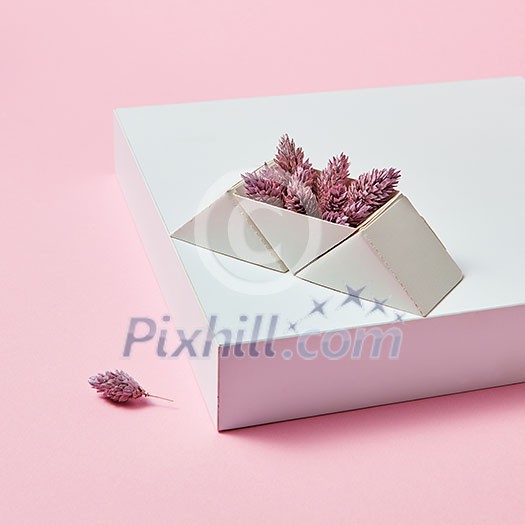 Cones in a triangular box presented on a white cardboard box around a pink background with copy space. Autumn layout for postcard Cones in a triangular box presented on a white cardboard box around a pink background with copy space. Autumn layout for postcard