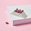 Cones in a triangular box presented on a white cardboard box around a pink background with copy space. Autumn layout for postcard