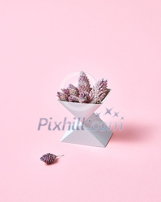 Triangular cardboard box with pine cones on a pink background with copy space. Creative composition Triangular cardboard box with pine cones on a pink background with copy space. Creative composition