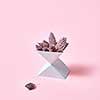 Triangular cardboard box with pine cones on a pink background with copy space. Creative composition