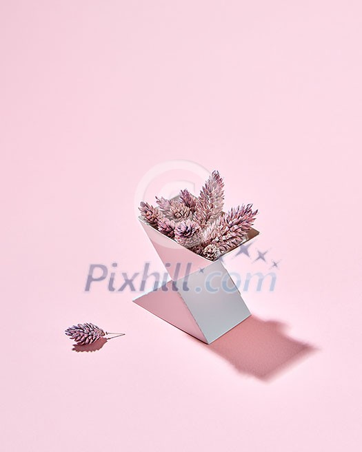 Autumn pine cones in a triangular cardboard box with reflection of shadows on a pink background and copy space.