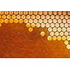 Filled, waxed honeycombs with fresh organic honey. Macro photo. Next Generation Concept or Network Generation.Flat lay