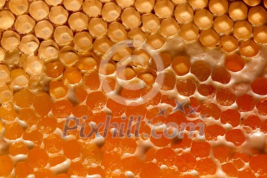 Background made of wax honeycomb filled with organic honey. Macro photo. The concept of network generation Y. Flat lay Background made of wax honeycomb filled with organic honey. Macro photo. The concept of network generation Y. Flat lay