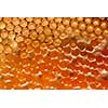 Background made of wax honeycomb filled with organic honey. Macro photo. The concept of network generation Y. Flat lay