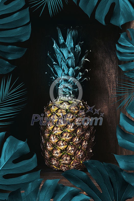 Ripe pineapple presented on a dark wooden background in a frame of palm leaves. Exotic fruit