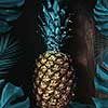 Ripe pineapple presented on a dark wooden background in a frame of palm leaves. Exotic fruit