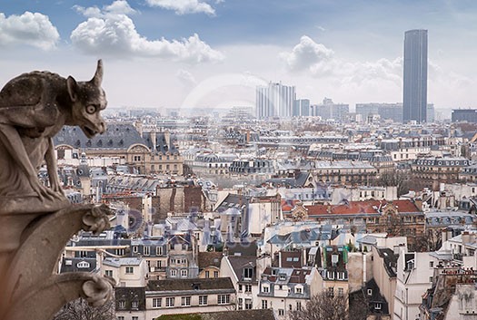 paris cathedral notre dame gorgoyle view cityscape, France paris cathedral notre dame gorgoyle view cityscape, France