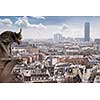 paris cathedral notre dame gorgoyle view cityscape, France