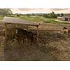 A mare with a little horse eats hay from a wooden box on a horse farm. Farm Horse Land