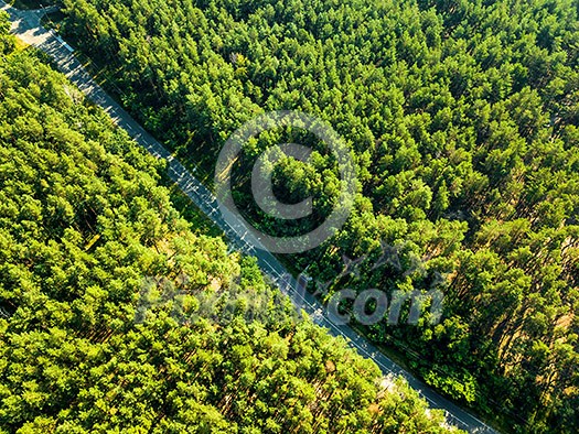 The road with a passing car through the foliage of the forest on a sunny day. Nature conservation concept. Aerial view of the drone as a natural layout The road with a passing car through the foliage of the forest on a sunny day. Nature conservation concept. Aerial view of the drone as a natural layout