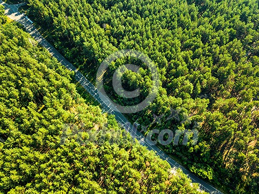 The road with a passing car through the foliage of the forest on a sunny day. Nature conservation concept. Aerial view of the drone as a natural layout