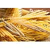 Variety of types and shapes of dry Italian pasta