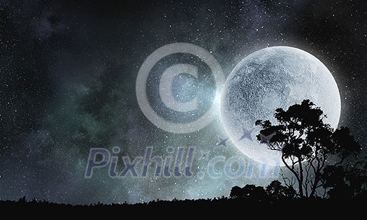 Silhouette of tree against full moon background