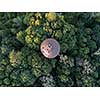 Aerial view of the drone on the greenery of trees and the old round roof with people summer day