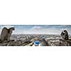 Chimera gargoyle of the Cathedral of Notre Dame de Paris overlooking Paris, France