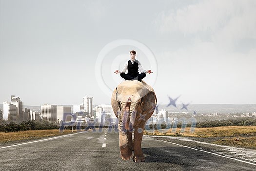 Businessman in lotus pose riding on elephant. Mixed media