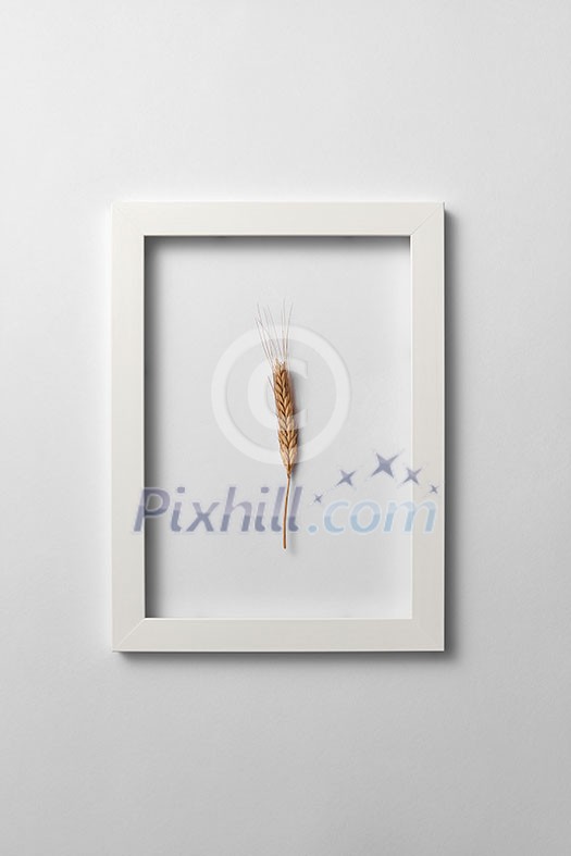 Natural eco frame with rye ear on a light gray background. Place for text. Top view. Organic vegan food concept.